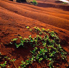 卡普空公布《怪物猎人：崛起》原版试玩下架时间